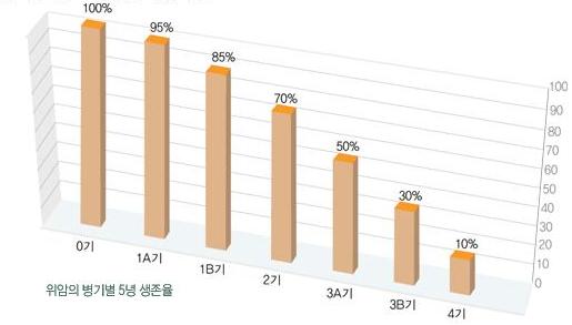 조기 위암과 진행성 위암