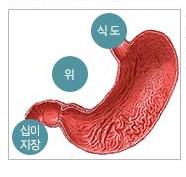 위의 구조